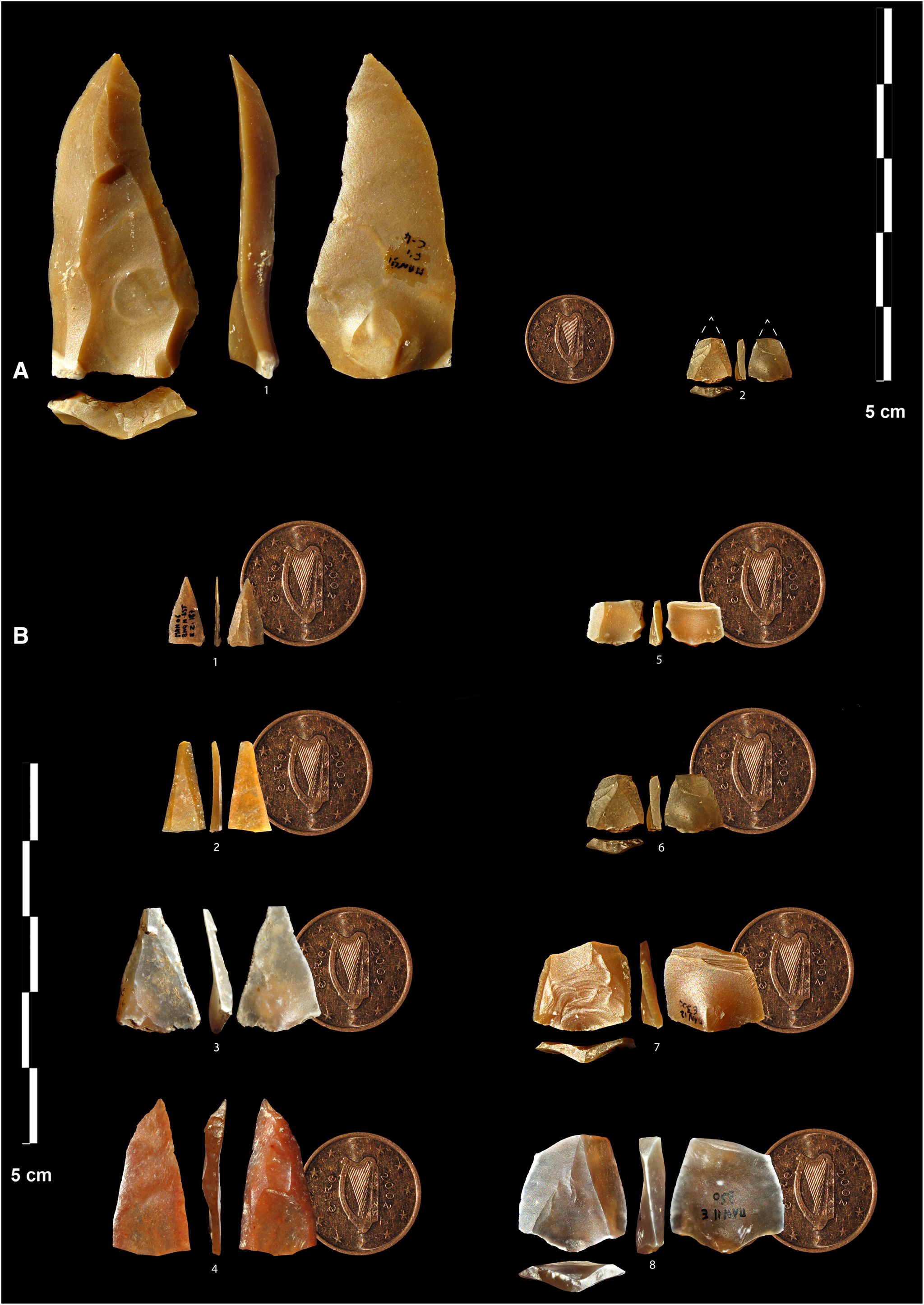 sciadv.add4675-f2.jpg